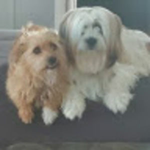 Meet your Posher, Donna